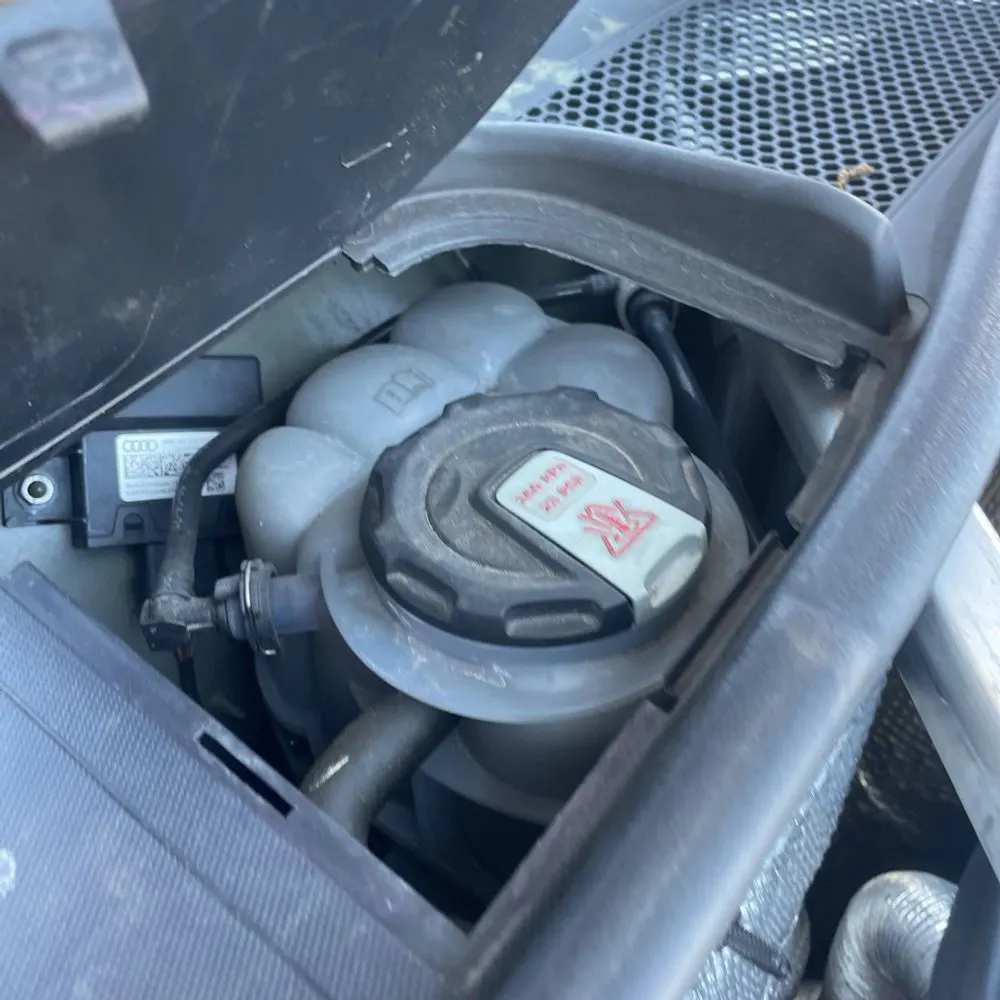 2022 Audi RS 5